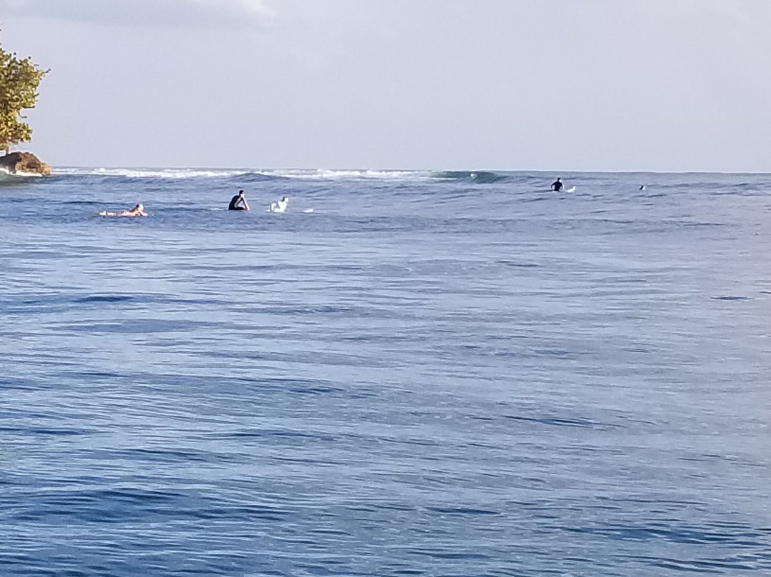 Mono Loco Surf School景点图片