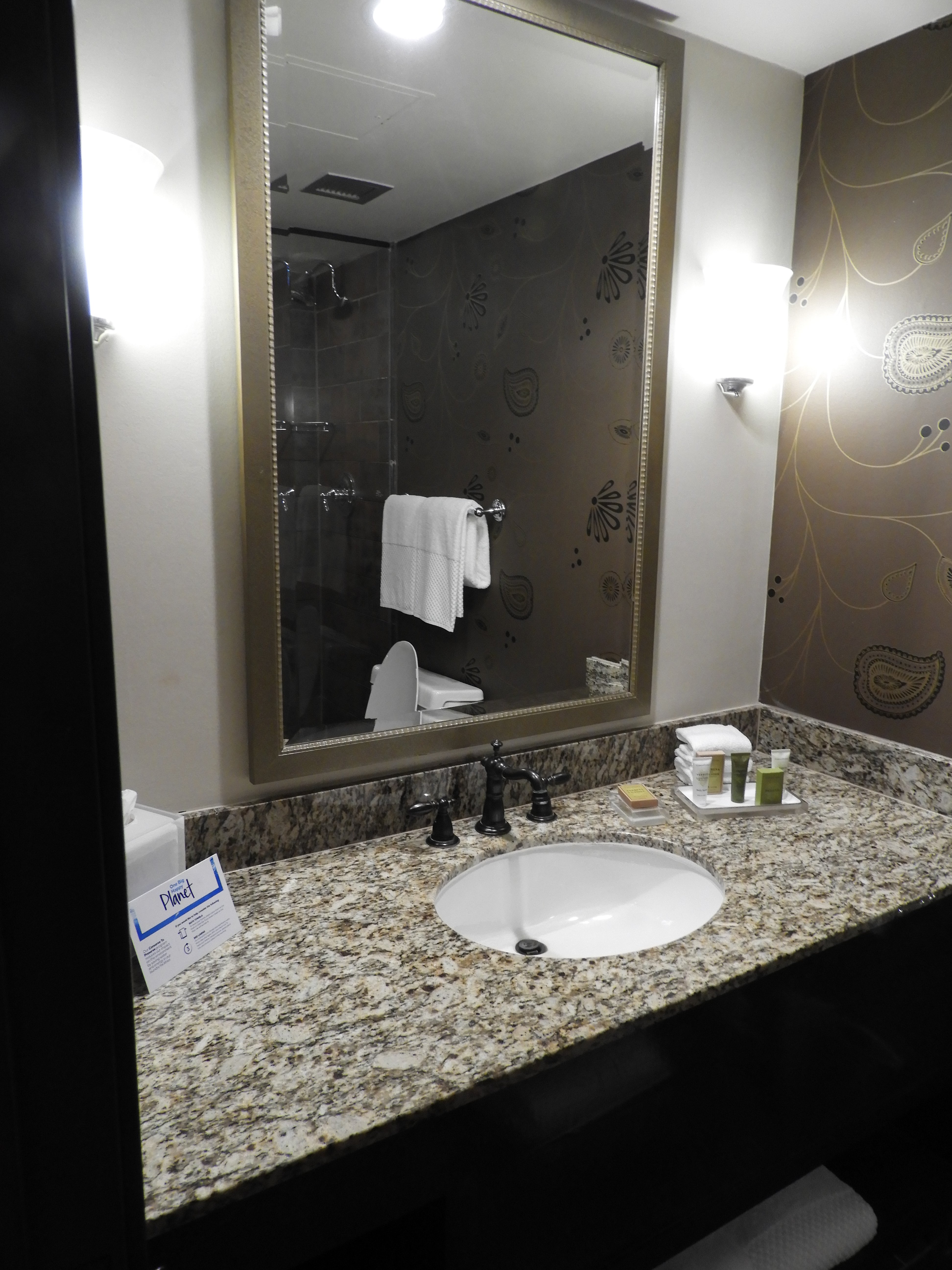 Hilton DFW Lakes Executive Conference Center-浴室