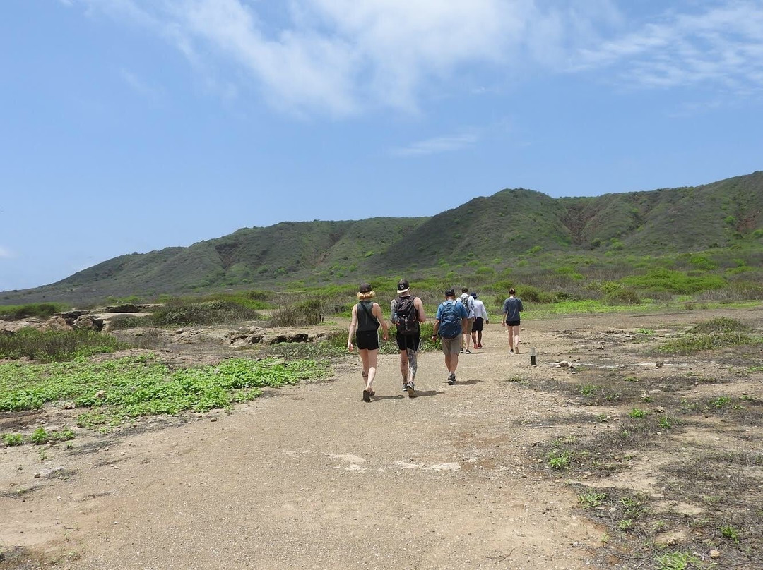 Isla de la Plata-Puerto Lopez必去景点