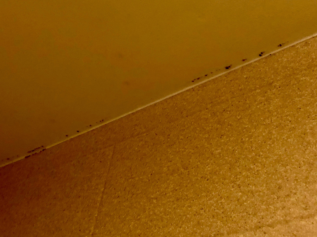 Homewood Suites By Hilton Jackson-ridgeland主图