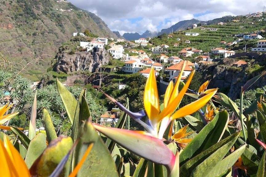 Secret Madeira Lda-马德拉群岛必去景点