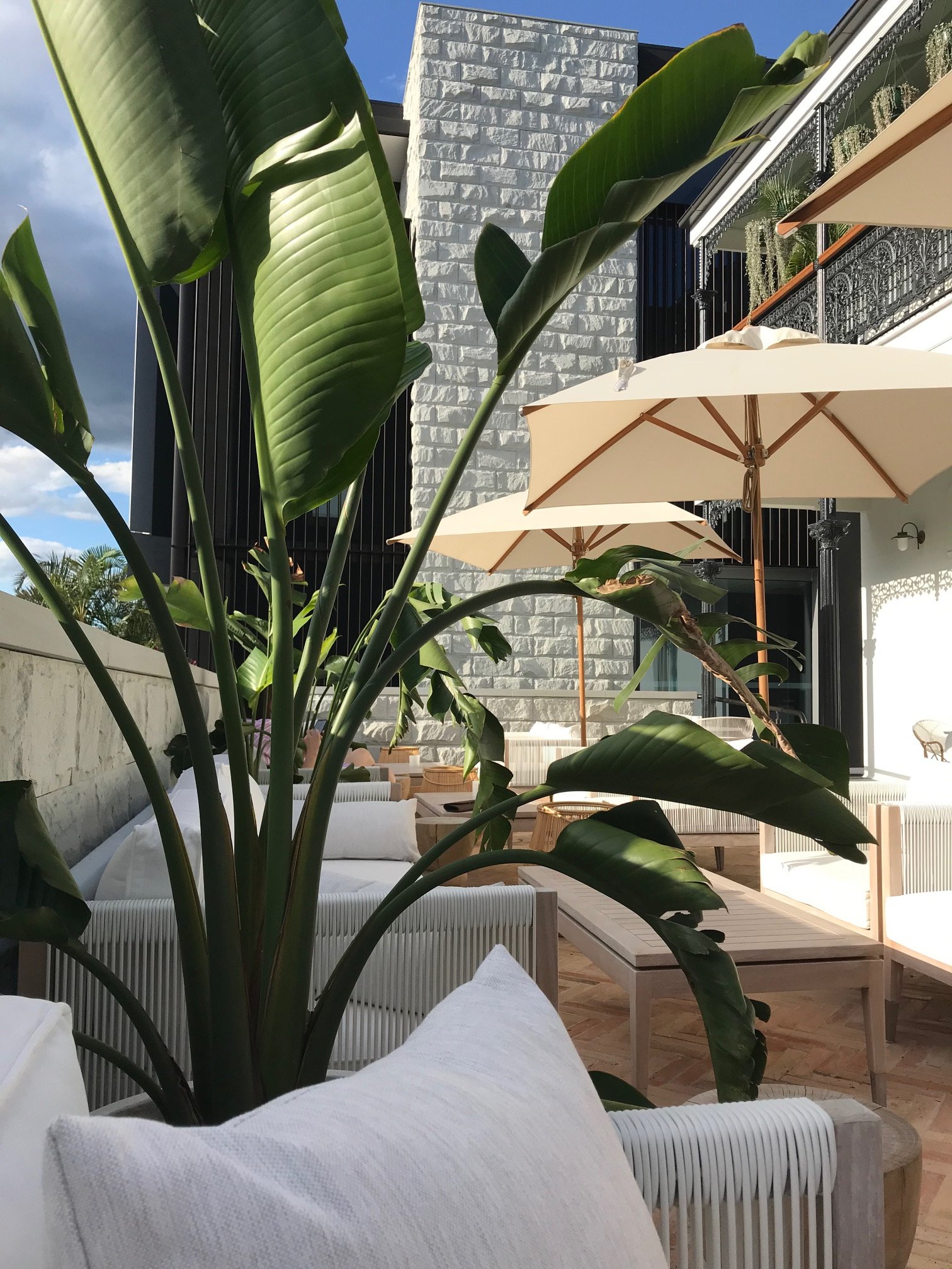 The Albert Hotel Mosman-餐饮