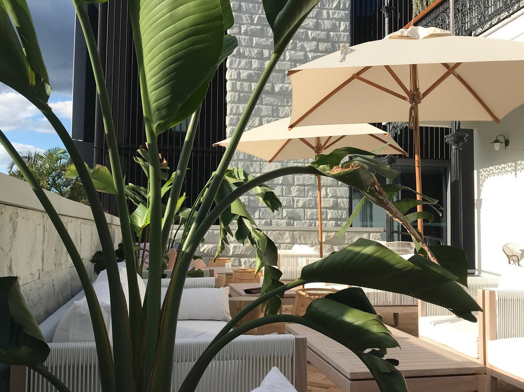 The Albert Hotel Mosman主图