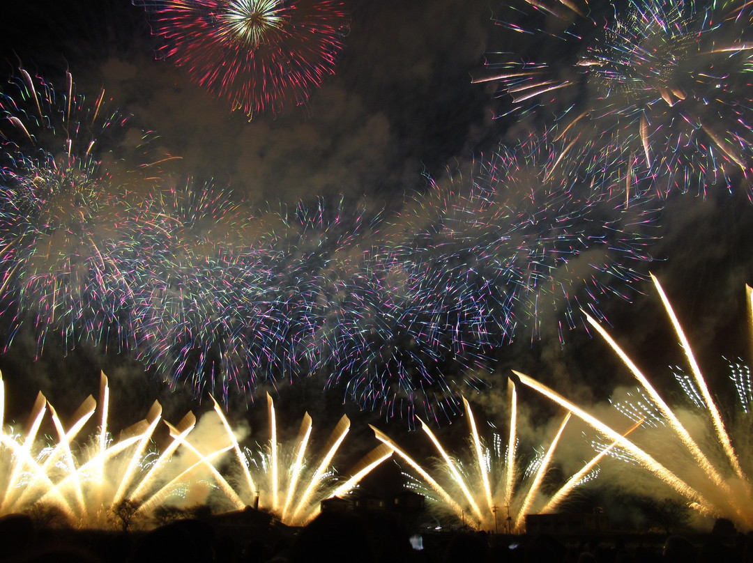 Tsuchiura All Japan Fireworks Competition-土浦市必去景点