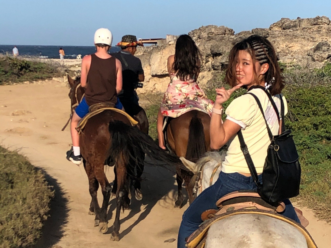 Rancho Notorious Aruba-Noord必去景点