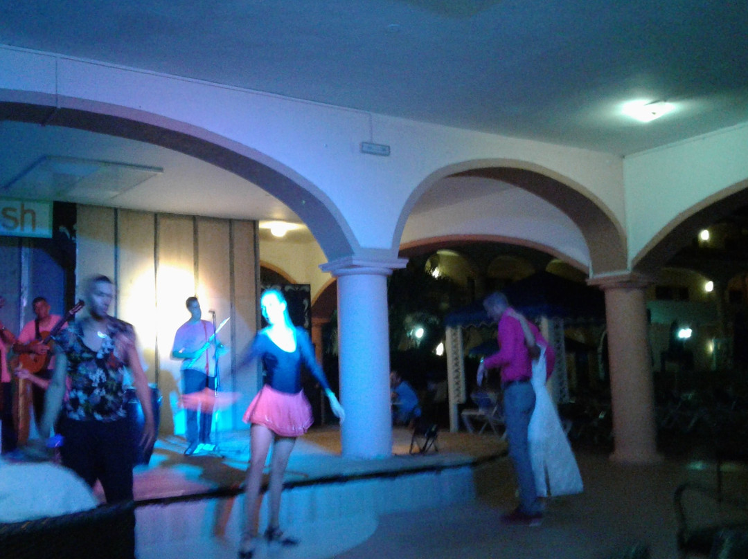 Starfish Cuatro Palmas主图