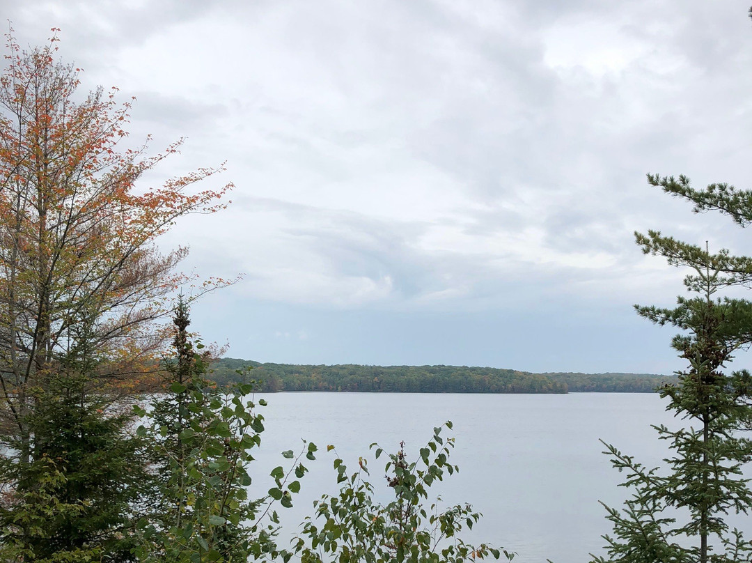 Bark Lake Leadership & Conference Centre景点图片