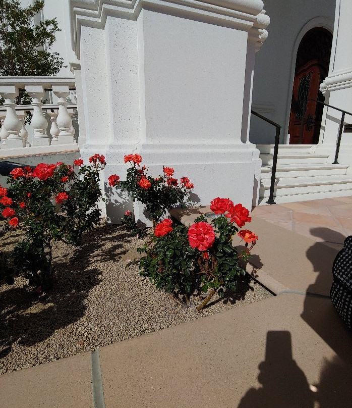 Tijuana México Temple-蒂华纳必去景点