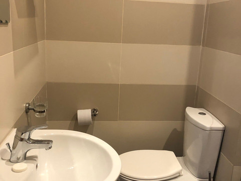 卡尔顿极度主图