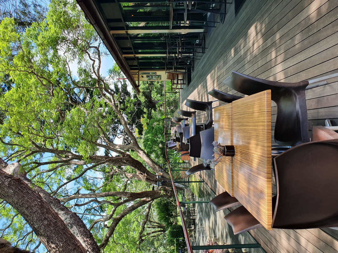 Woodlands of Marburg主图