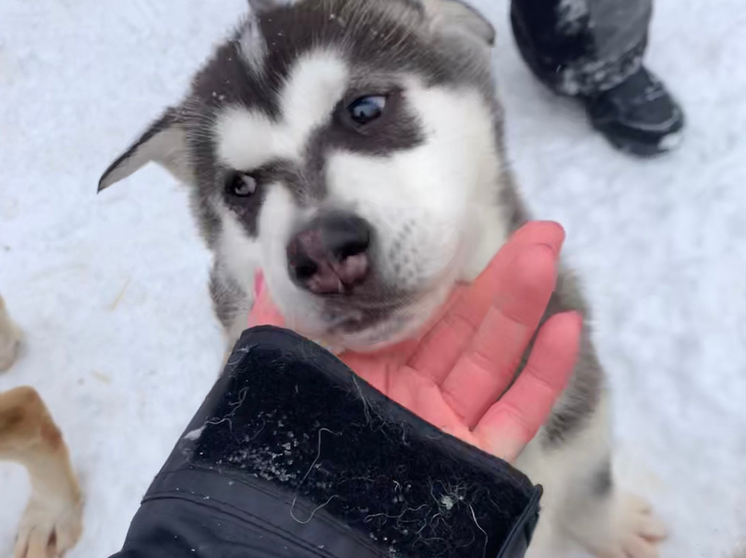 Secrets Nordiques Day Tours-博普雷必去景点