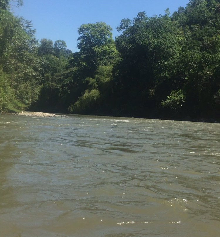 Balsaje Por El Rio La Vieja-Montenegro必去景点