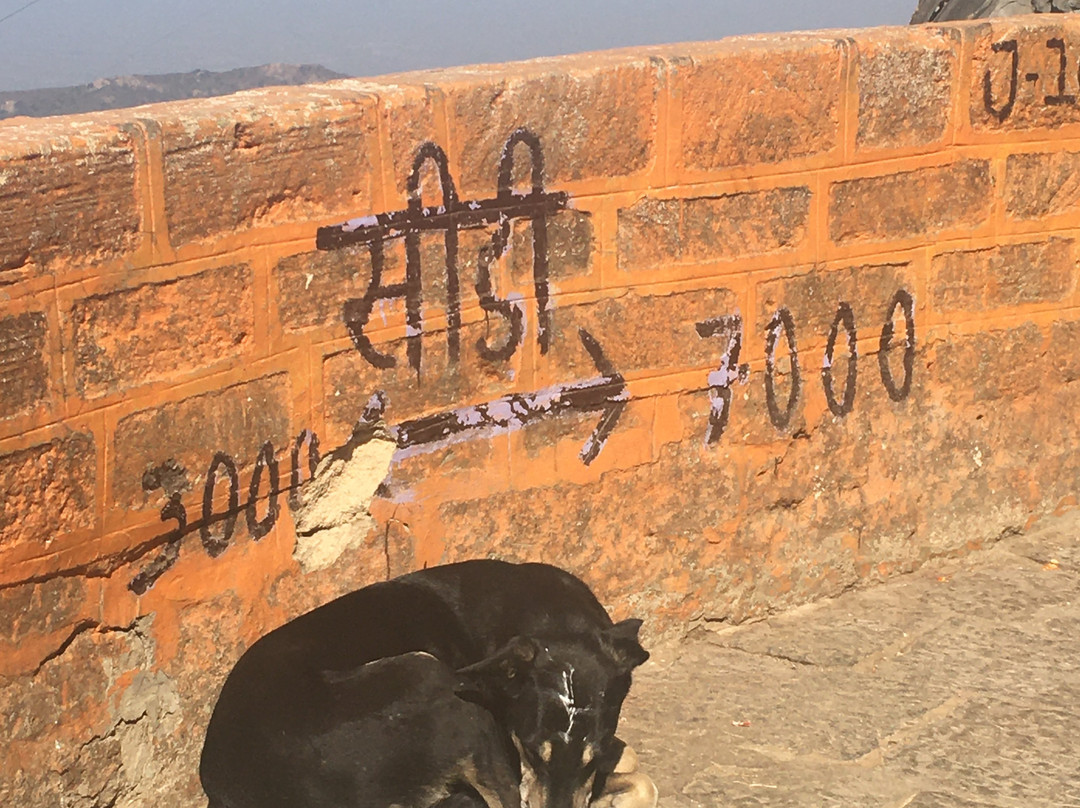 Girnar Jain Temples-居那加德必去景点