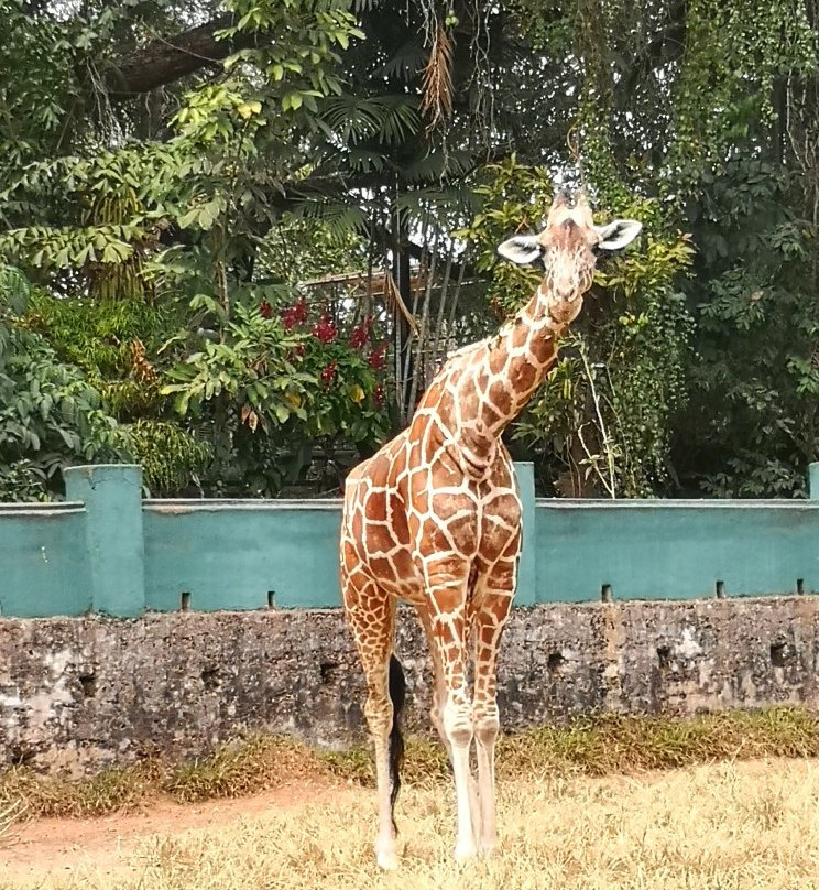 National Zoological Gardens of Sri Lanka景点图片