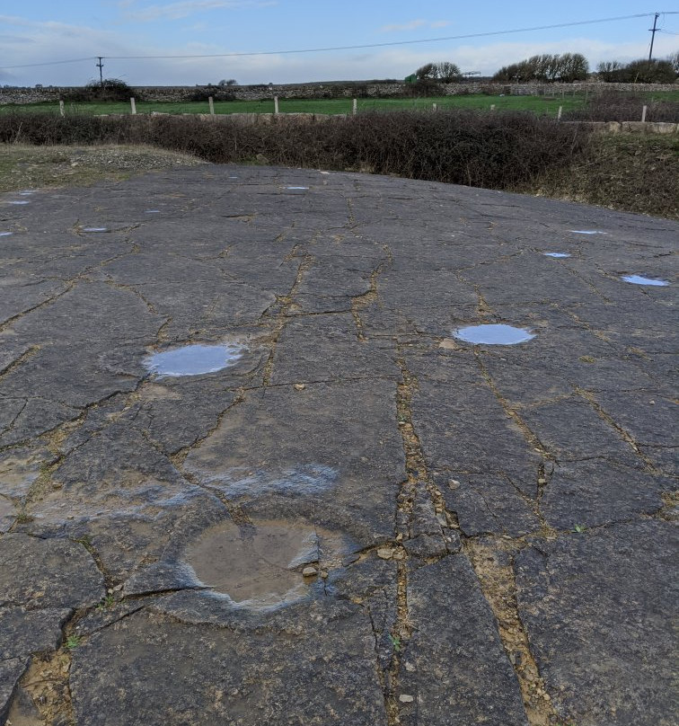 Keates Quarry Dinosaur Footprints景点图片