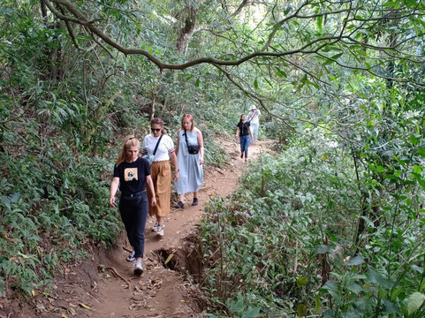 VTS Lanka Tours & Bentota Boat Safari-卡卢特勒必去景点