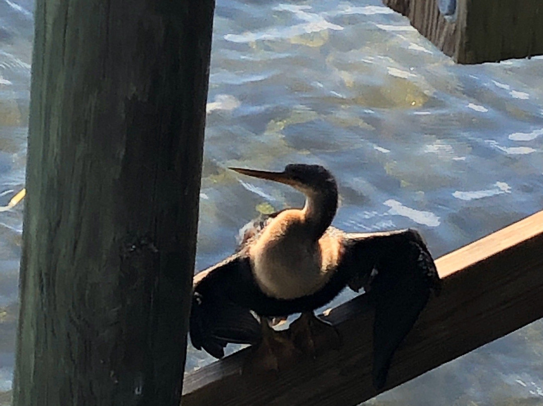 Cooter Pond Park-因弗内斯必去景点