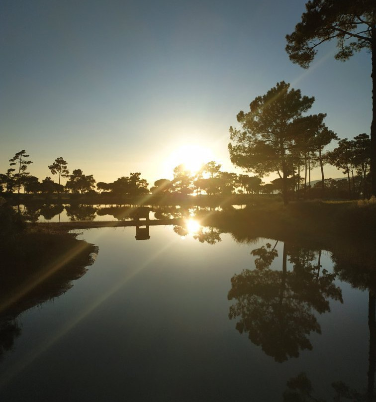 Troia Golf Course景点图片
