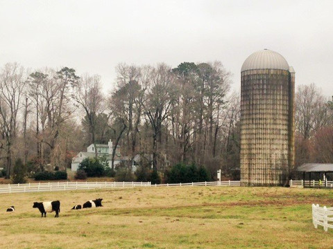 The Fearrington House Inn主图