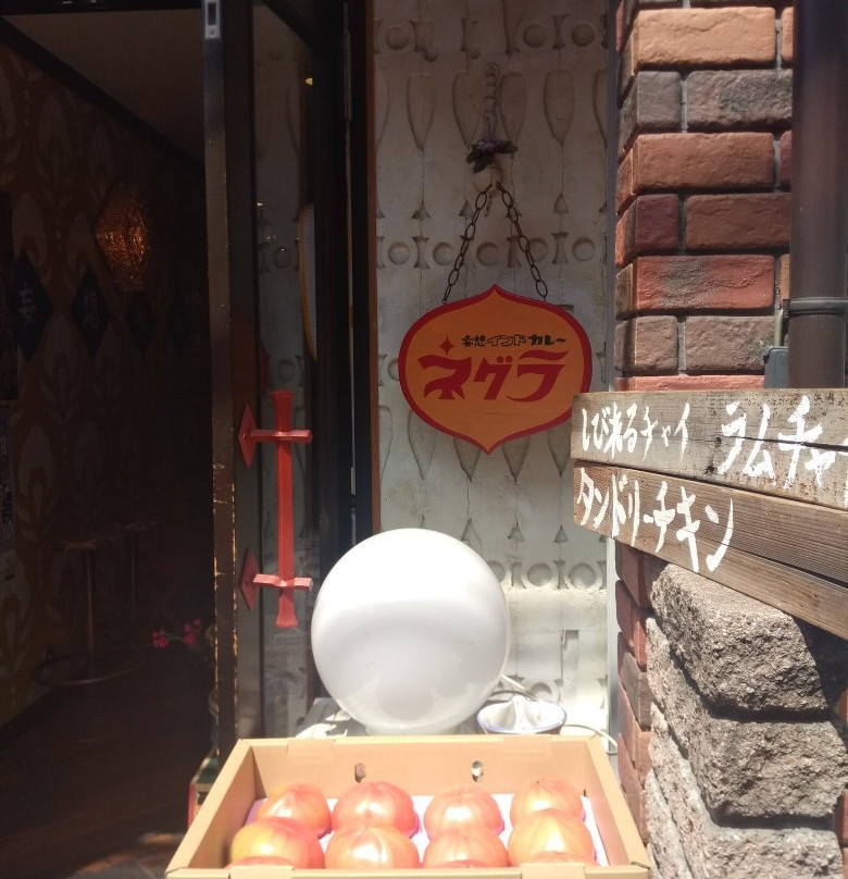 妄想インドカレー ネグラ