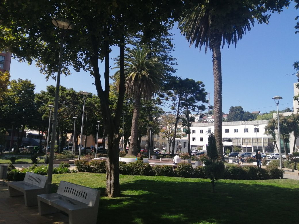 Plaza De Talcahuano景点图片