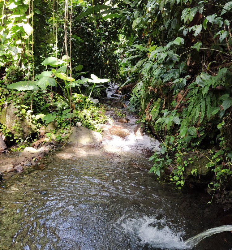 Bains des Amours-Gourbeyre必去景点