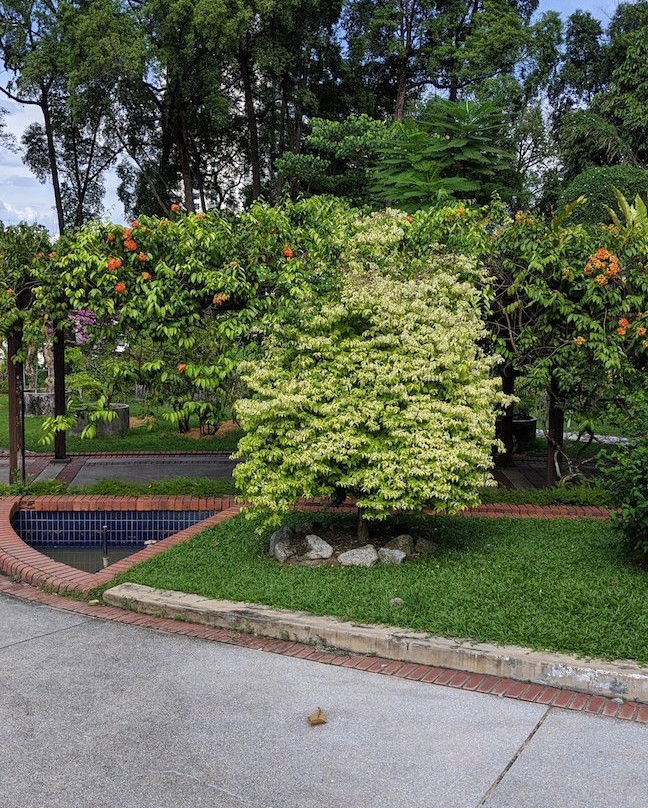 吉隆坡大红花园景点图片
