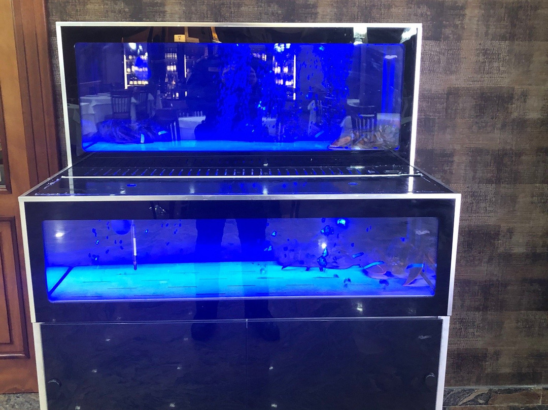 RHD Hotel Donato主图