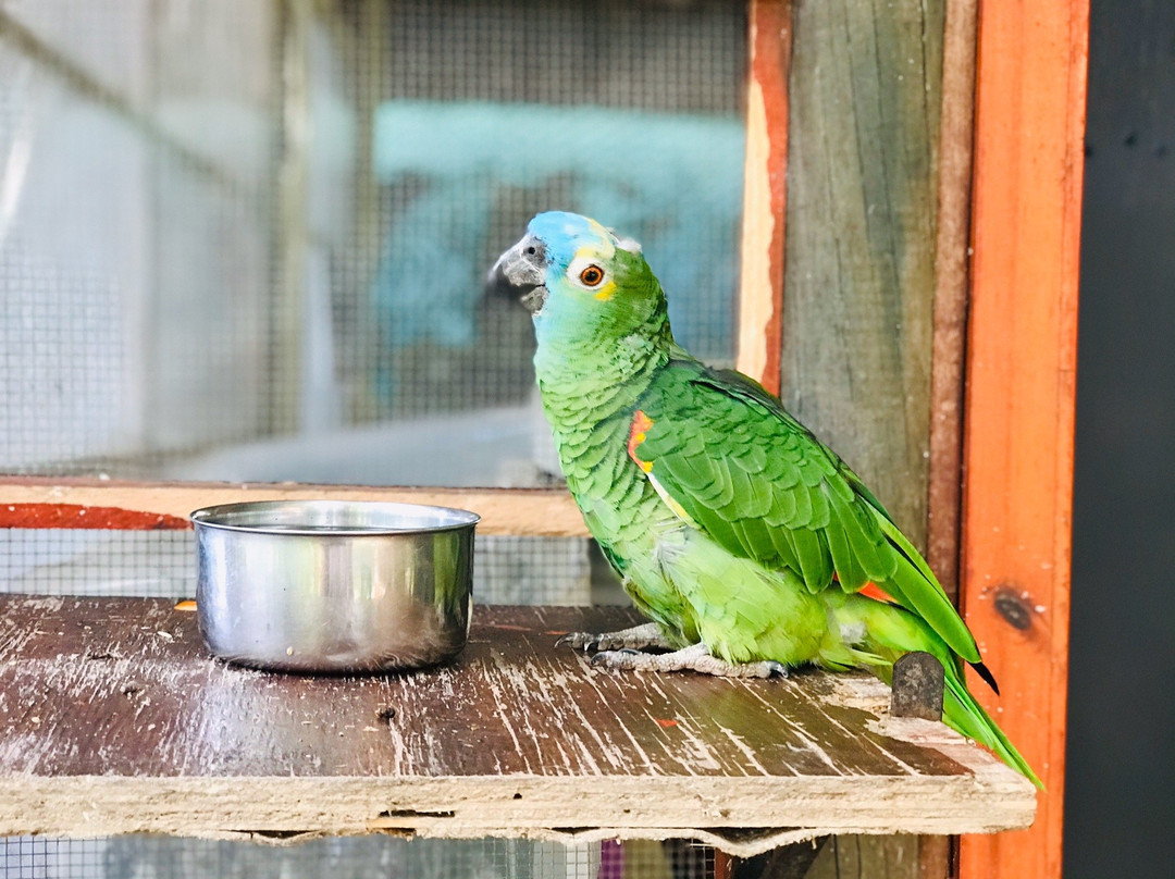 Exotic Animal World-Klapmuts必去景点