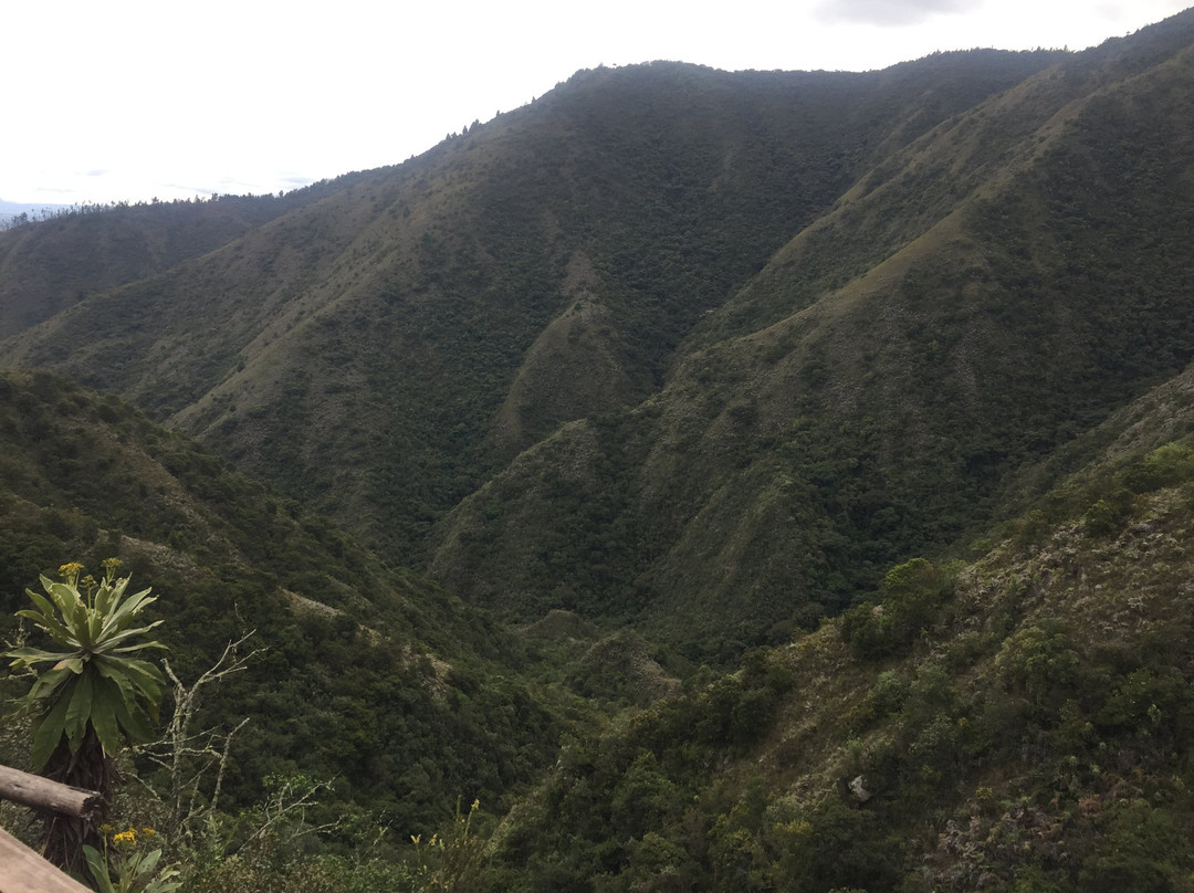 Sendero Ecologico la Zarza-Duitama必去景点