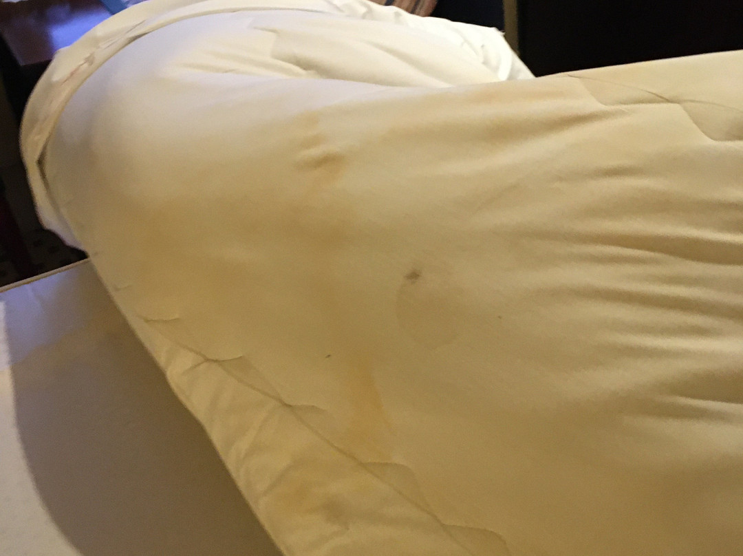 Basingstoke Country Hotel Spa景点图片