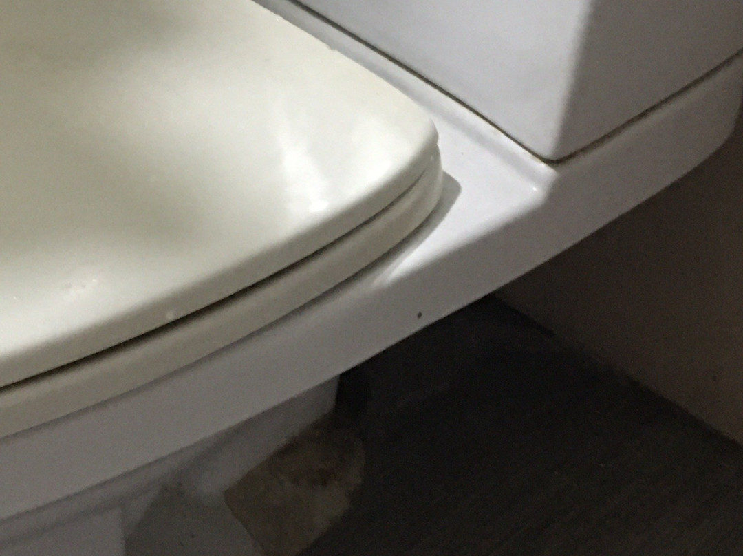 乔安娜度假别墅酒店主图