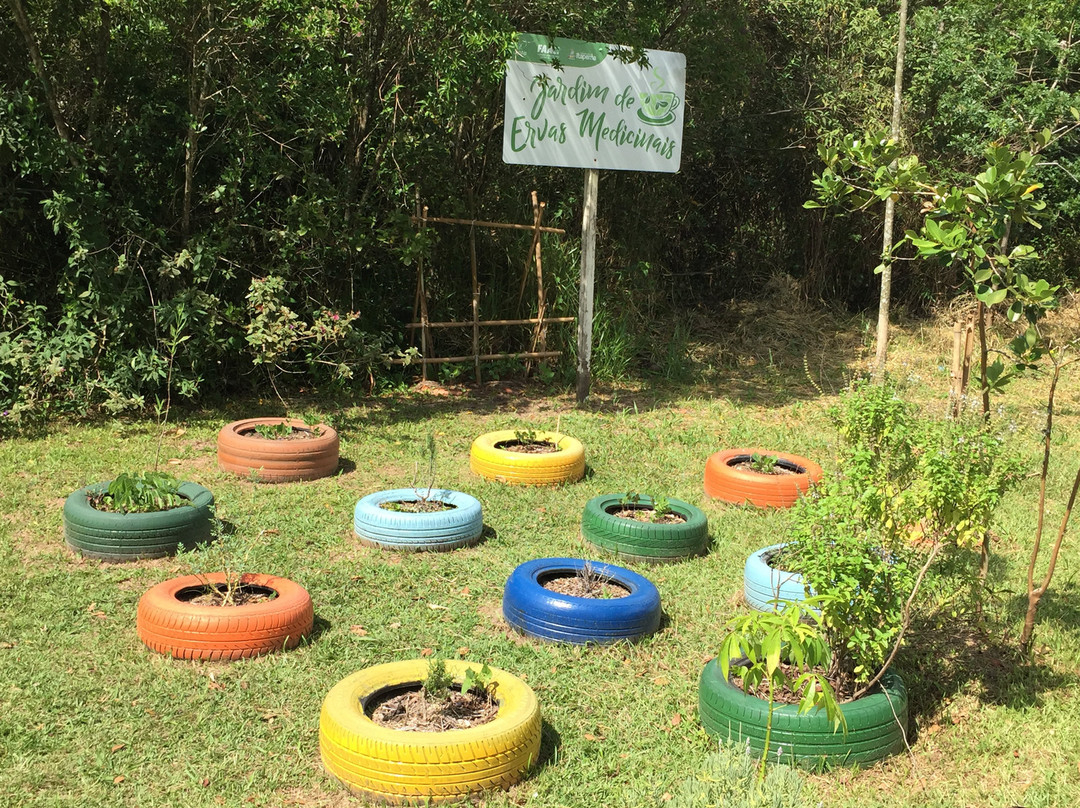 Parque das Capivaras em Meia Praia Itapema.-Itapema必去景点