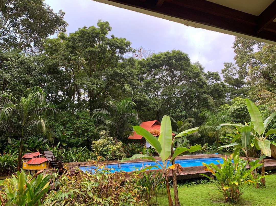 The Monkey Bowl主图