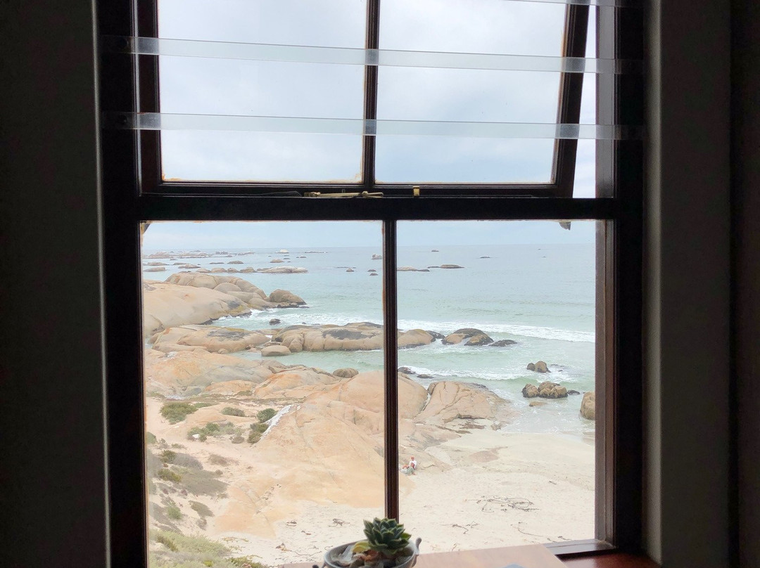 The Oystercatcher’s Haven主图