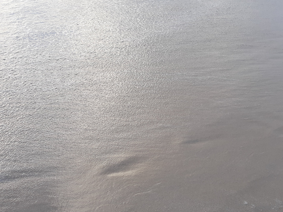 Rum Bus Beach-Johnsons Point必去景点