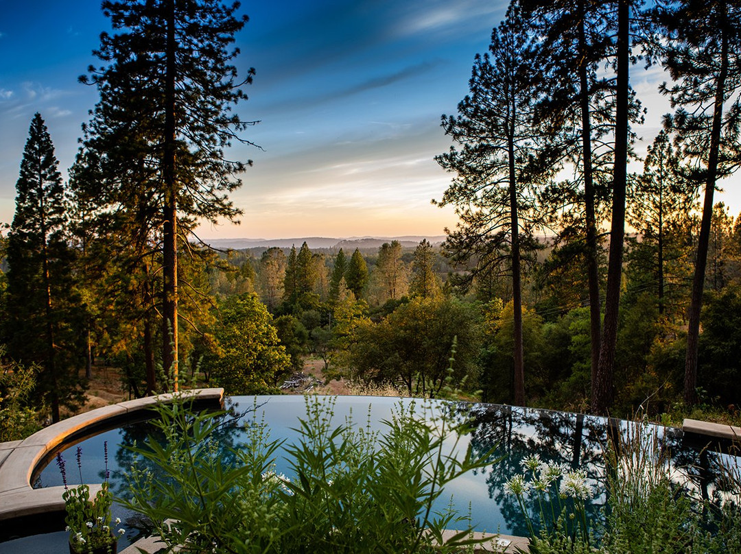 Reverie Retreat