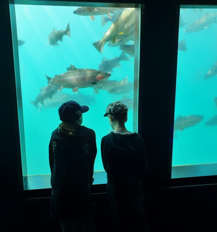 世界水族馆景点图片