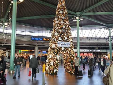 247 Express Taxi-海牙必去景点