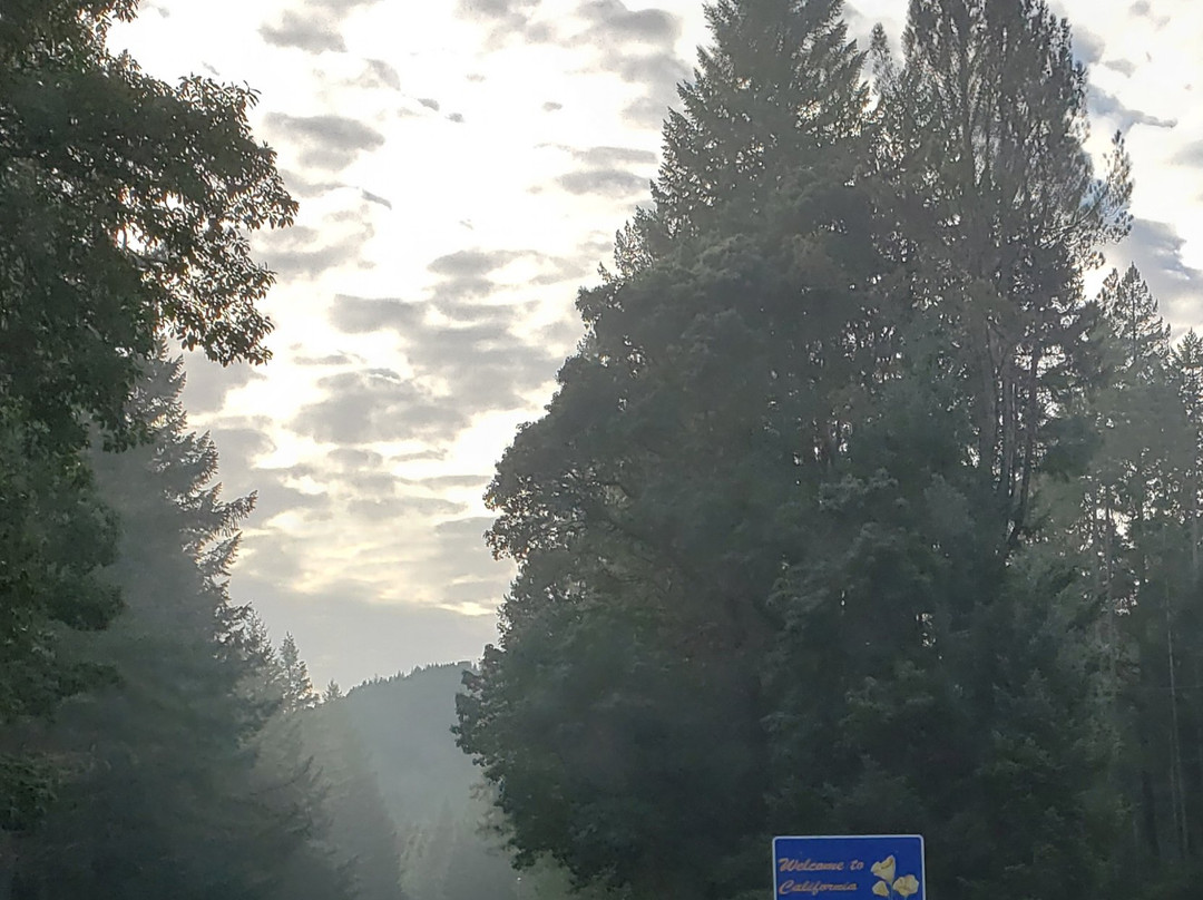 Redwood Highway-尤里卡必去景点