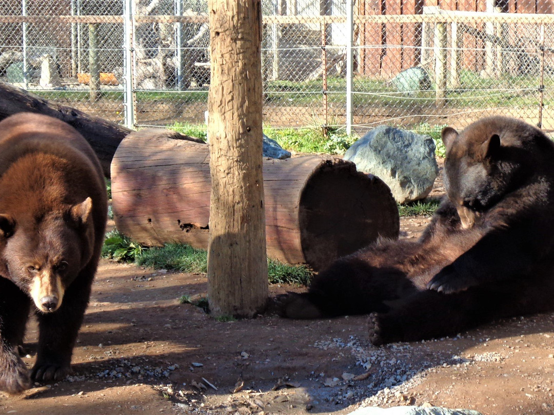 West Coast Game Park Safari景点图片