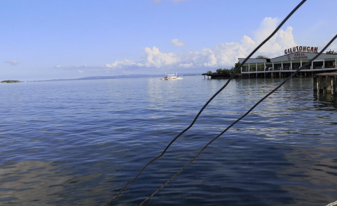 Chester Boat Rental-哥多华必去景点