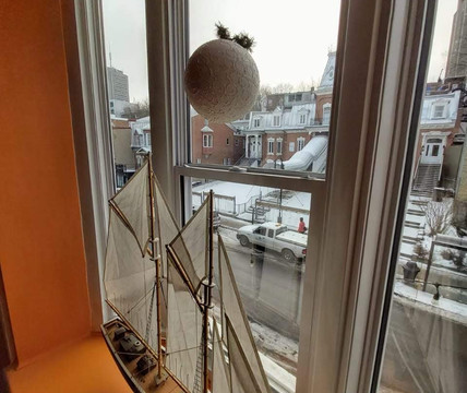 图雷尔城堡客栈主图