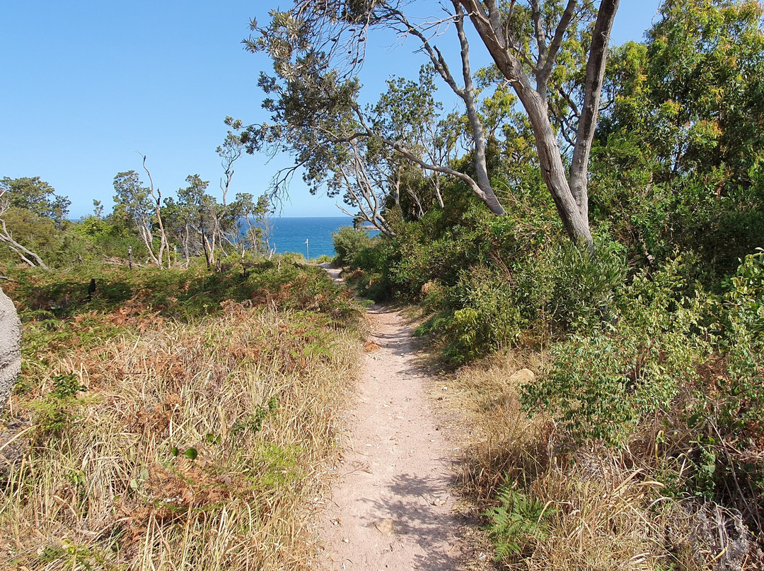 Barry Park Lookout景点图片