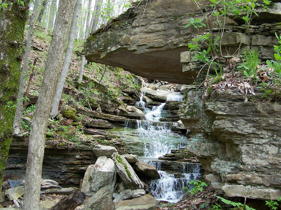 Hoosier National Forest景点图片