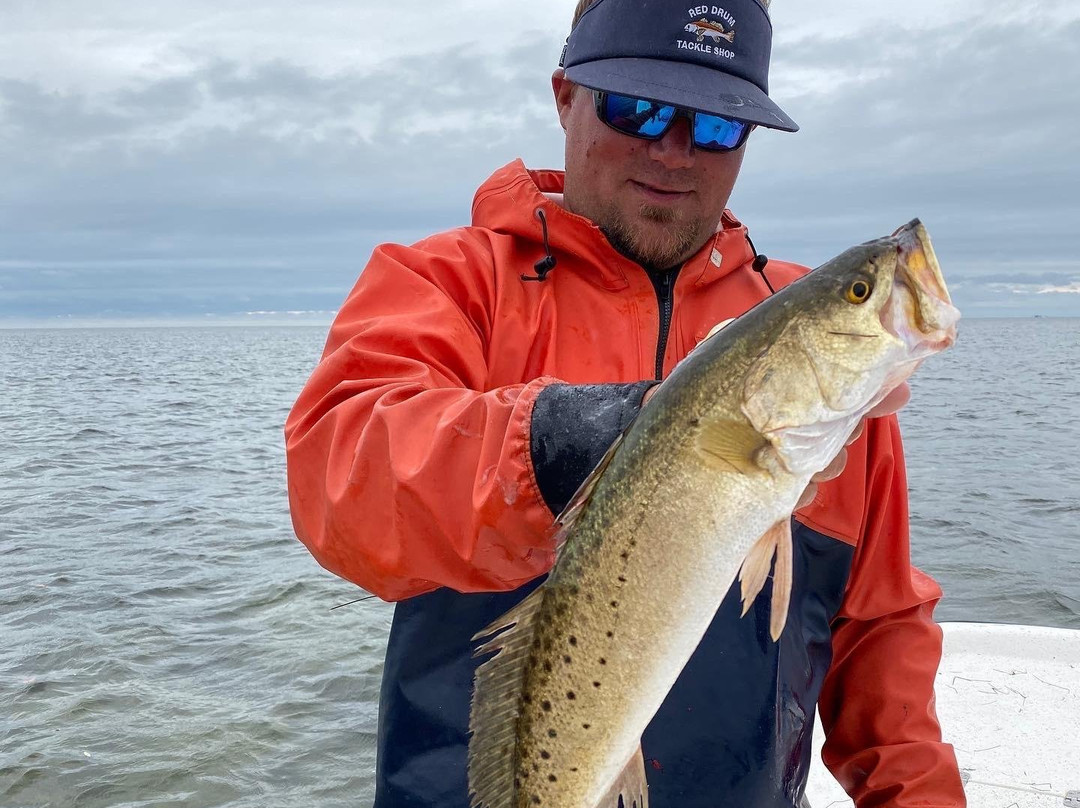 Crystal River Guide Service