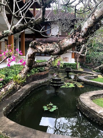 佩尔缇威度假村-浴室