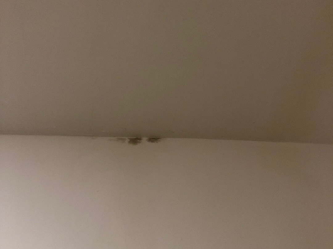 Hotel Catedral Campeche主图