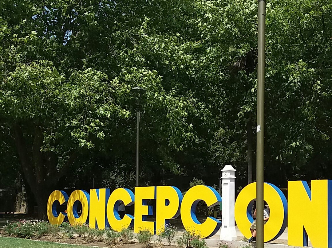 Parque Ecuador-康塞普西翁必去景点