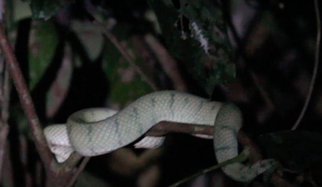 Bromo Ijen Crater Tour-巴纽旺宣必去景点